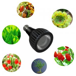 E26 E27 AC85-265V Ra98 full spectrum 25W PAR30 LED Globe Bulb