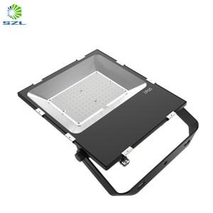New Portable New Arrival Factory Low Price 100W LED Floodlight